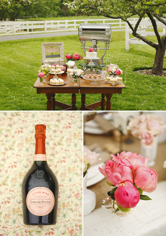 Pink party treats and champagne, outdoor celebration