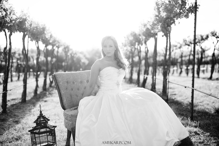 Vineyard Bridals Near Dallas Texas by Amy Karp Photography