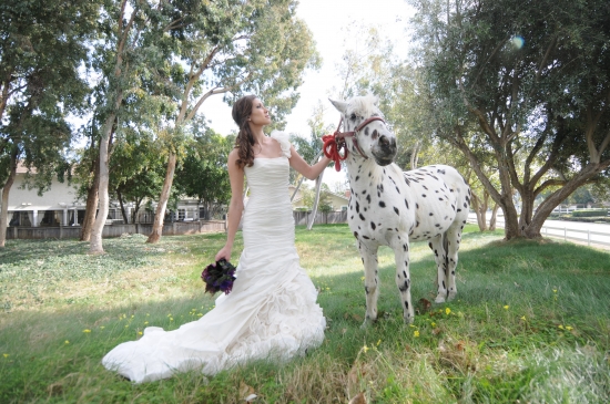 Bride in wedding gown with spotted pony
