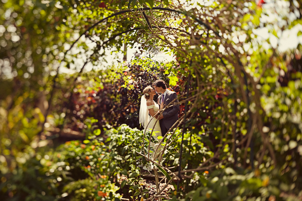 a-dazzling-backyard-oasis-wedding