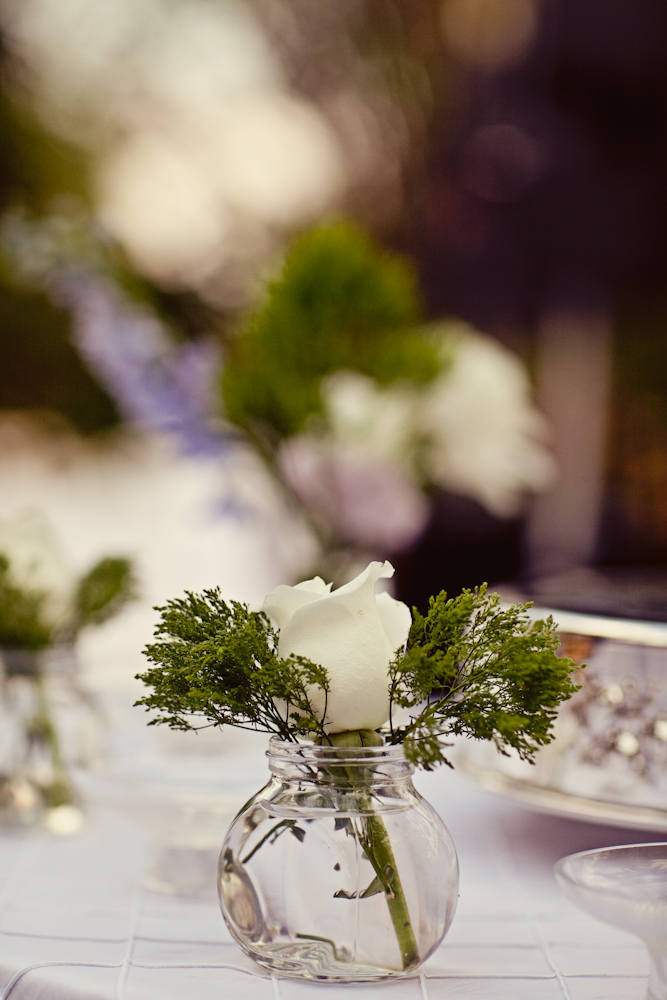 a-dazzling-backyard-oasis-wedding