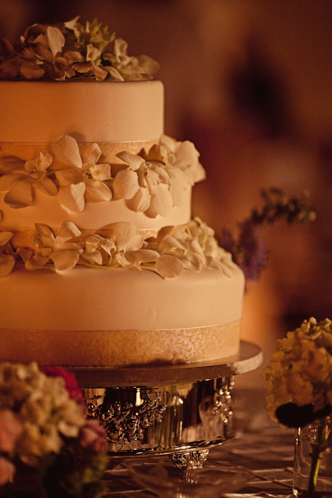 a-dazzling-backyard-oasis-wedding
