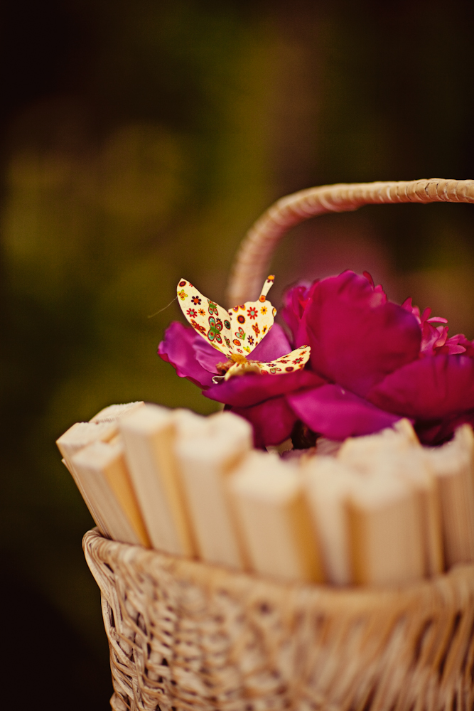 a-dazzling-backyard-oasis-wedding