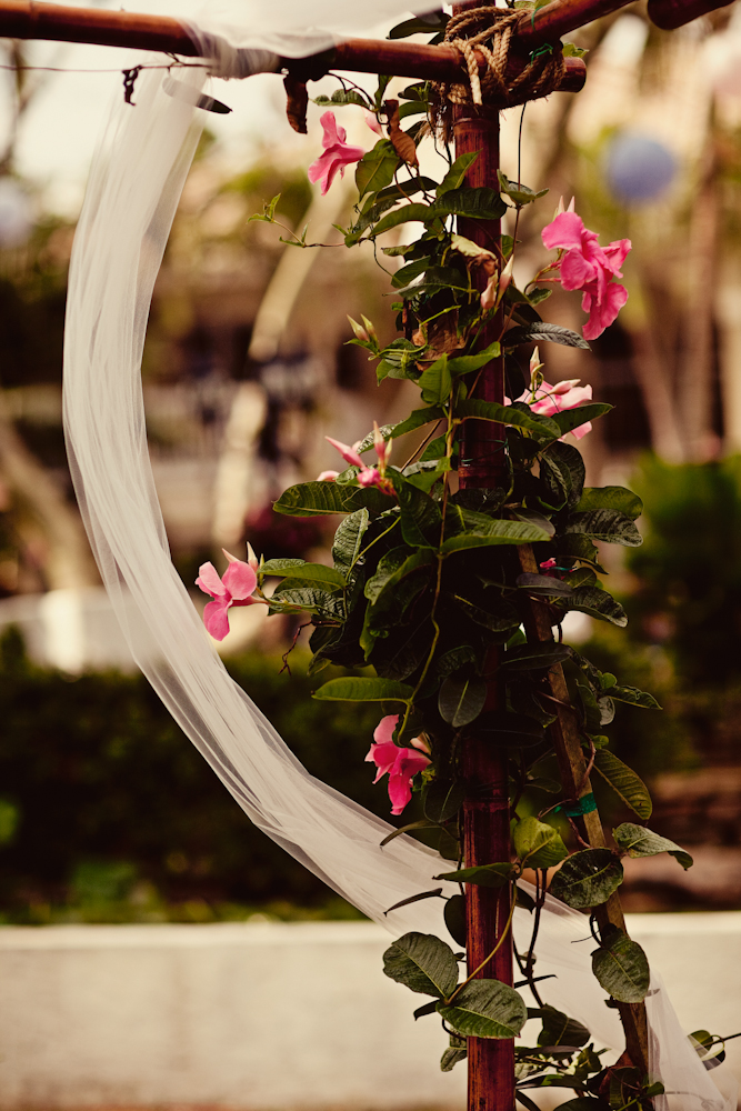 a-dazzling-backyard-oasis-wedding