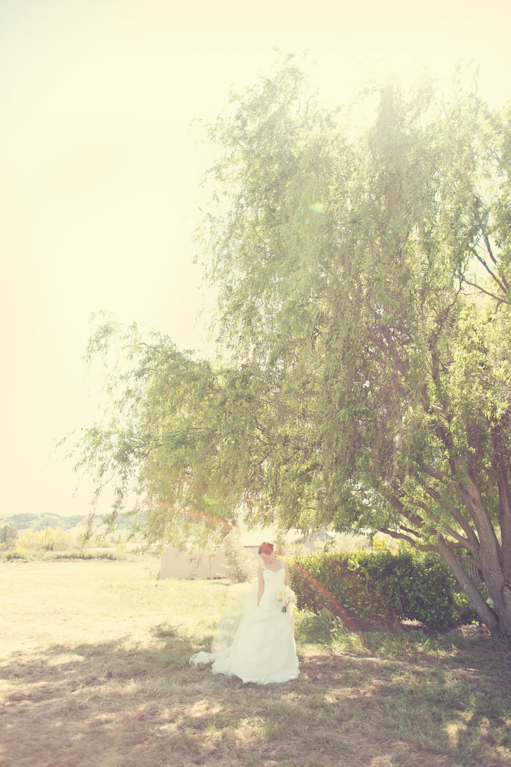 a-sonoma-summer-wedding-by-kate