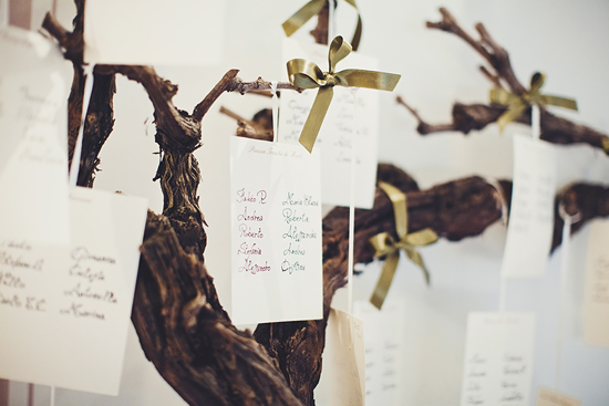 Elegant wedding seating chart on rustic vine branch