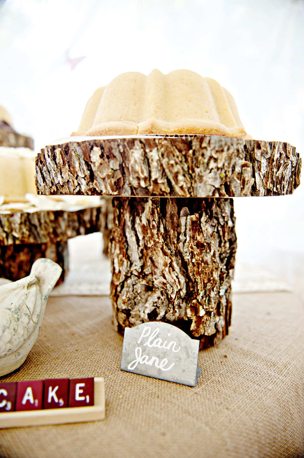 homespun-texas-wedding