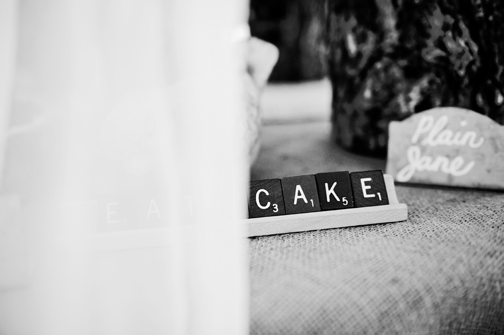homespun-texas-wedding