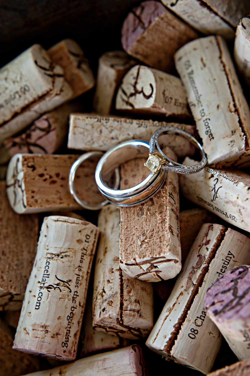 homespun-texas-wedding