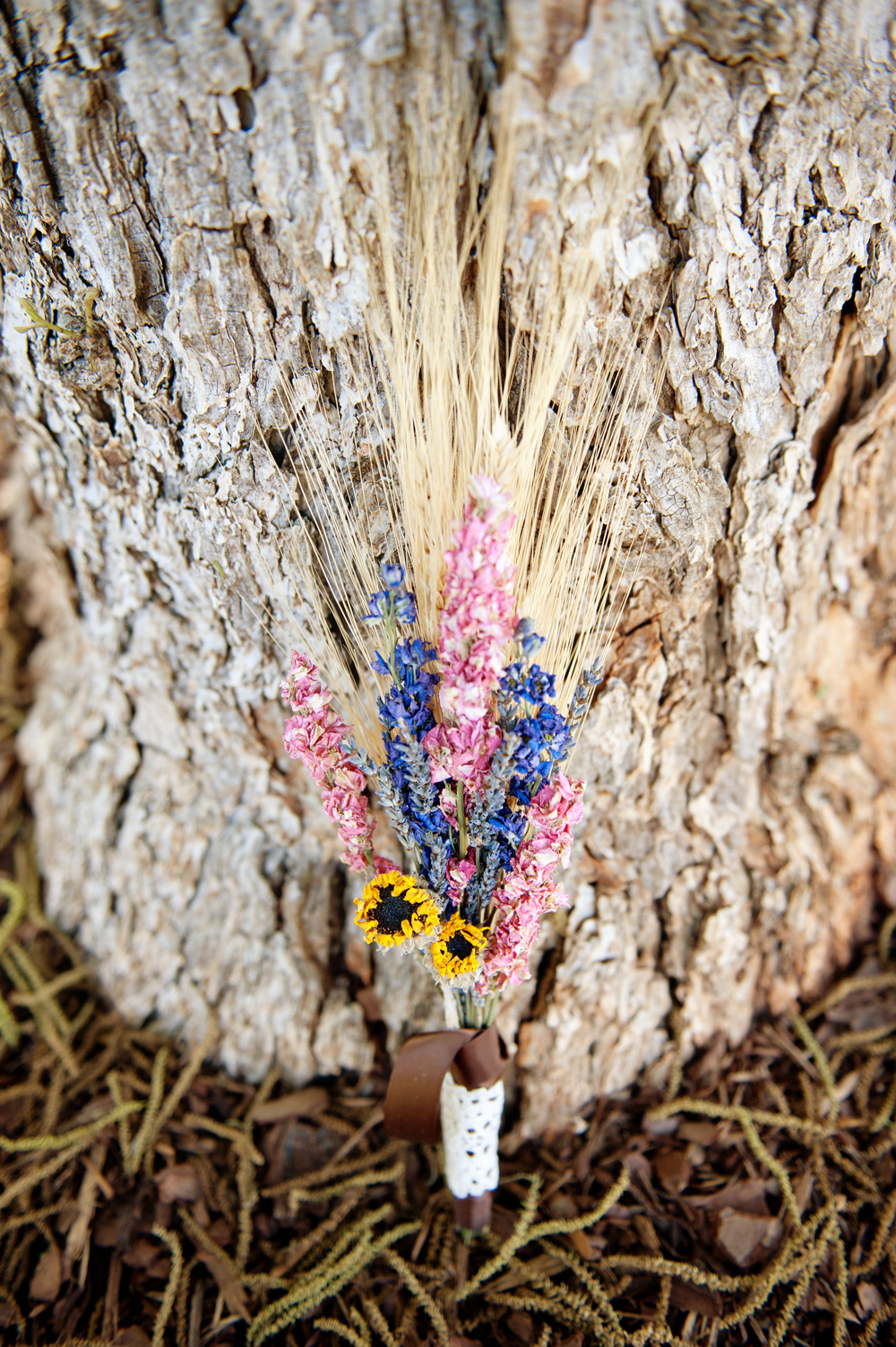 homespun-texas-wedding