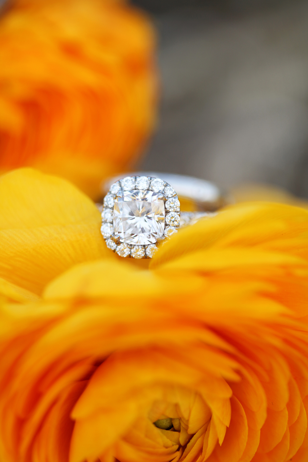 just-married-photography-session