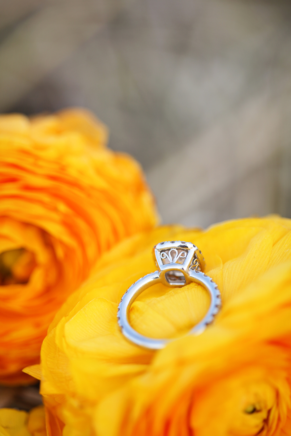 just-married-photography-session