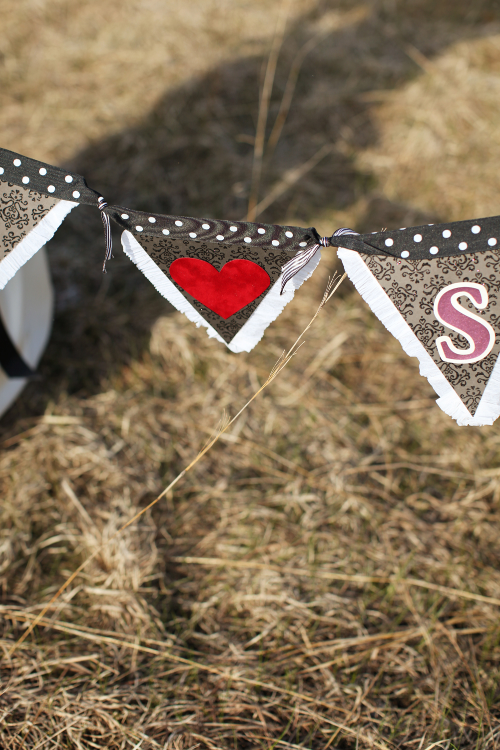just-married-photography-session
