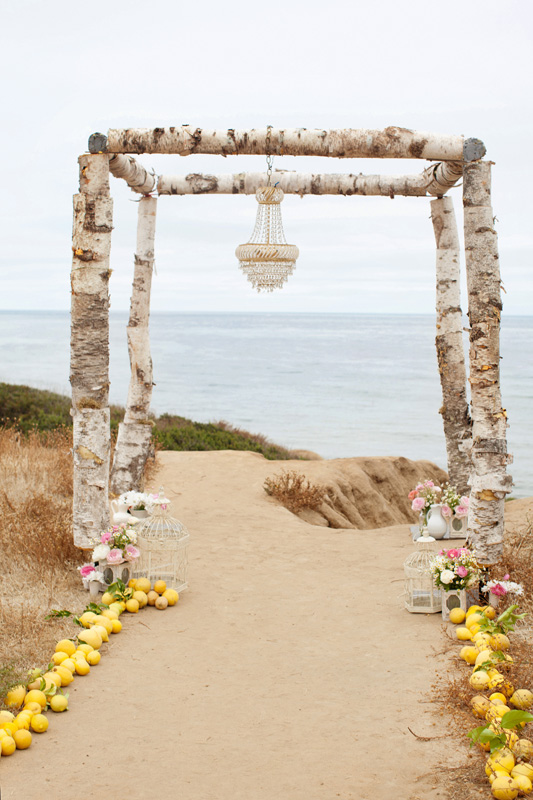 strawberry-lemonade-wedding-ideas