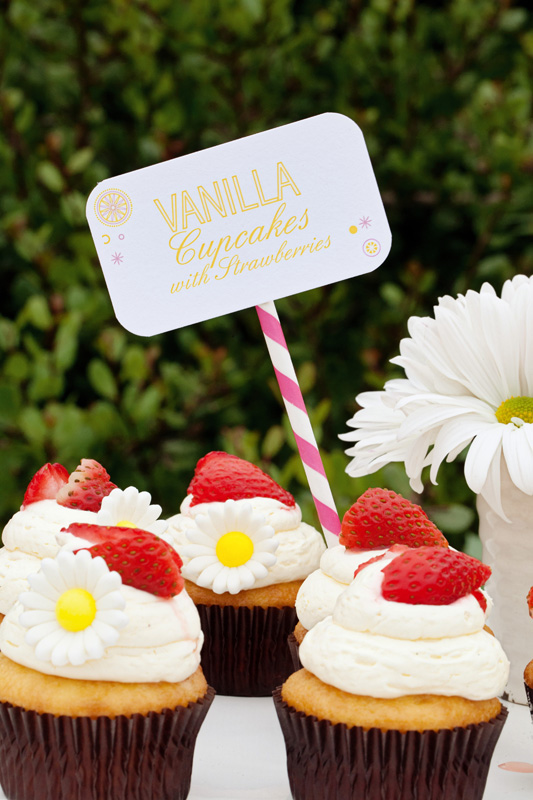 strawberry-lemonade-wedding-ideas