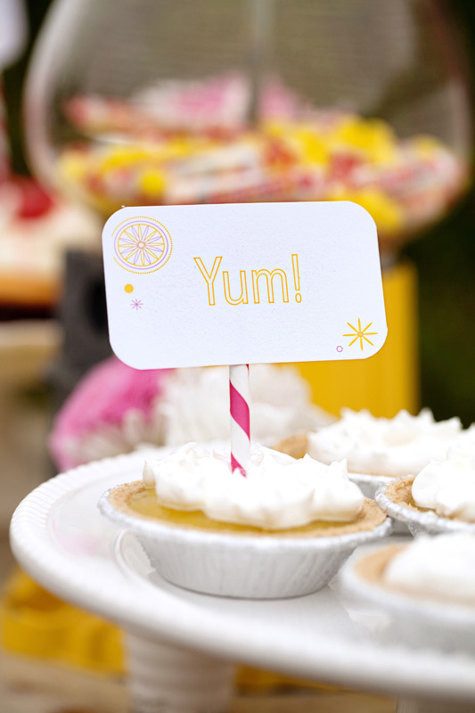 strawberry-lemonade-wedding-ideas