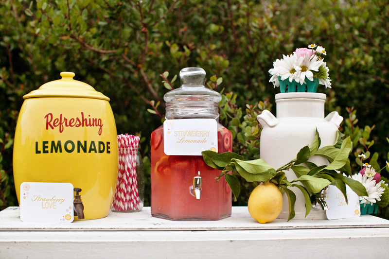 strawberry-lemonade-wedding-ideas