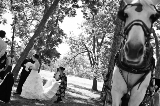 Wedding party with horse drawn carriage