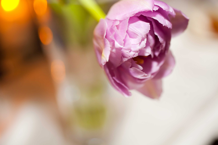 texas-wedding-at-the-dallas-arboretum