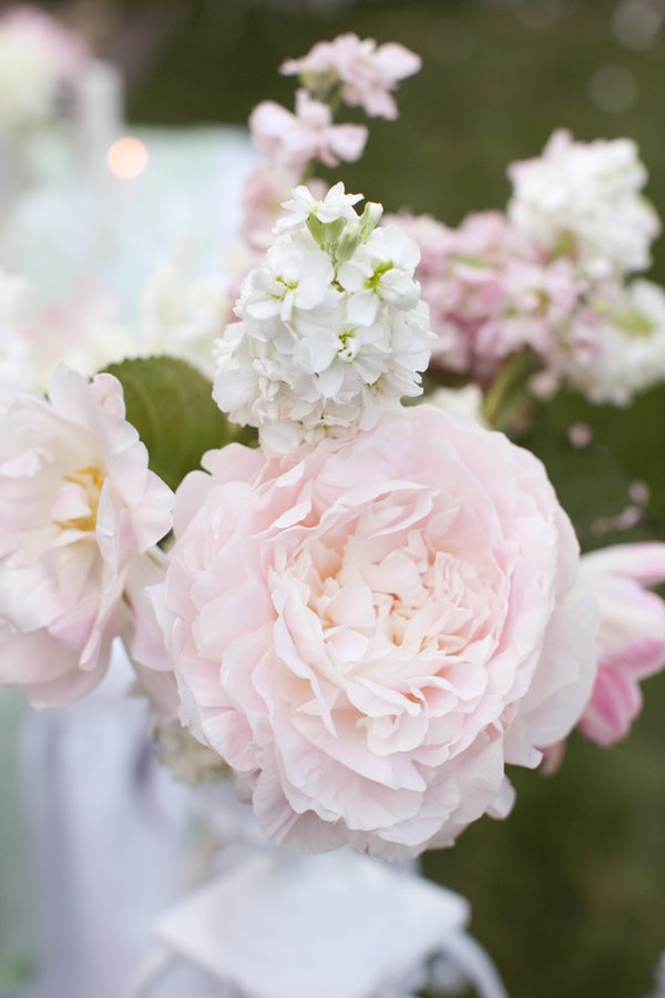 a-simply-shabby-chic-wedding