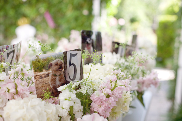 a-simply-shabby-chic-wedding