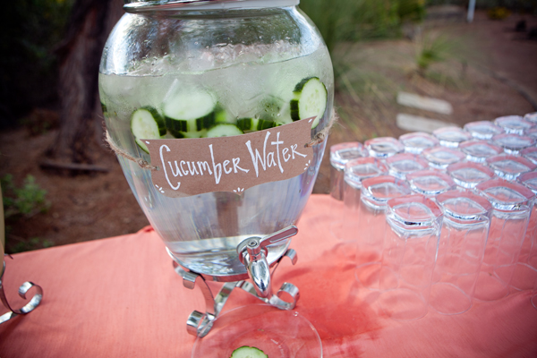 desert-botanical-garden-wedding