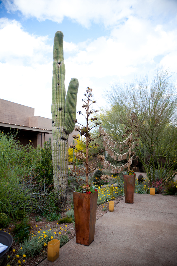 desert-botanical-garden-wedding