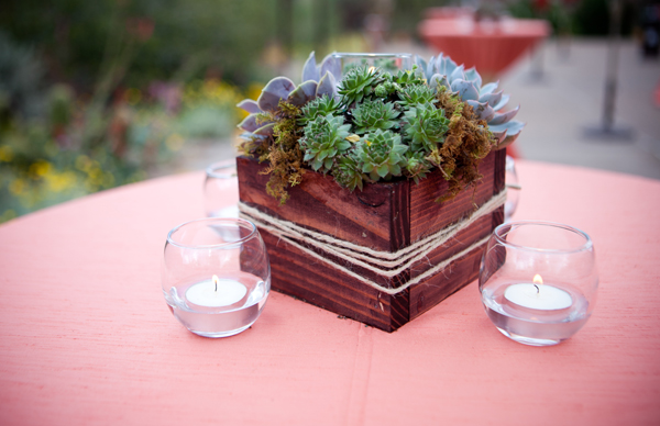 desert-botanical-garden-wedding