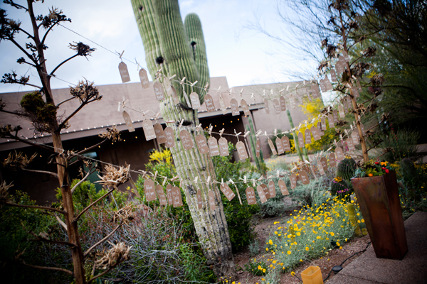 desert-botanical-garden-wedding
