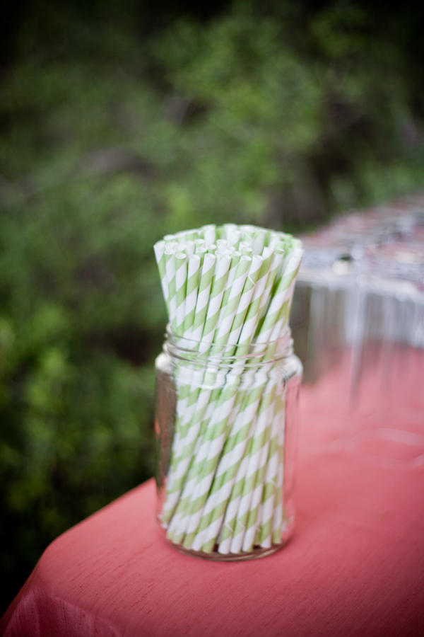 desert-botanical-garden-wedding