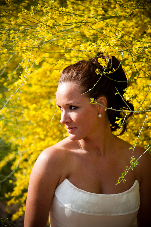 desert-botanical-garden-wedding