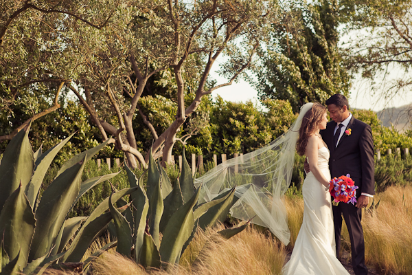 indian-and-western-wedding-by-carlie