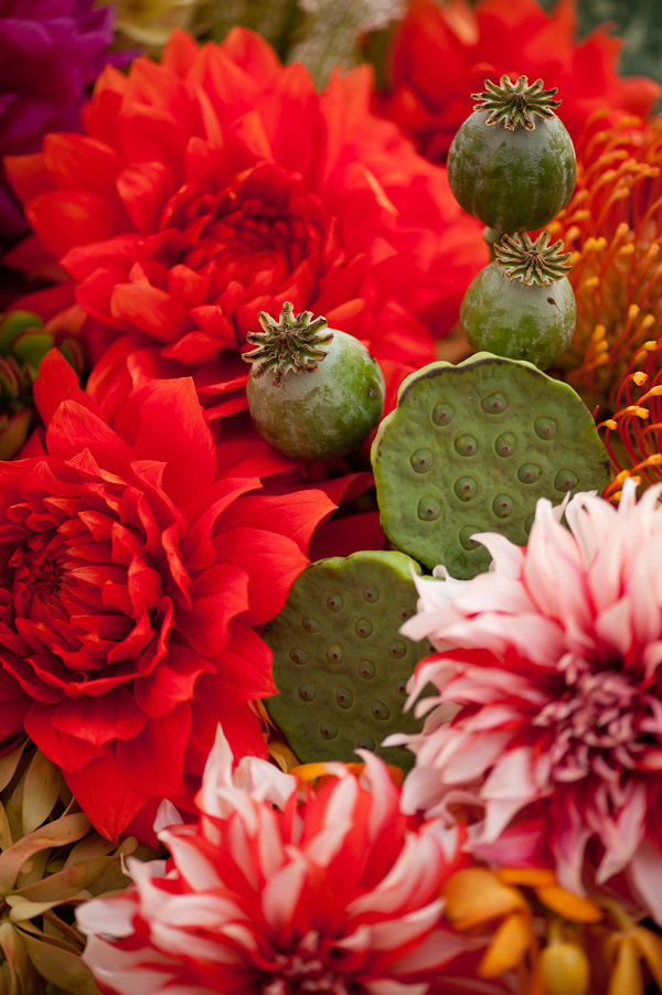 multi-cultural-beachy-wedding-ideas