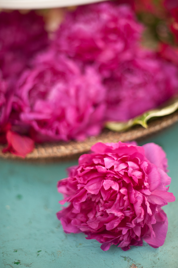 multi-cultural-beachy-wedding-ideas