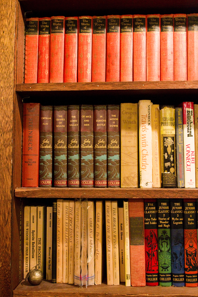 north-dakota-public-library-wedding