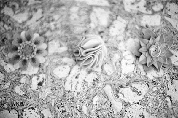 palm-springs-wedding-by-lacie-hansen