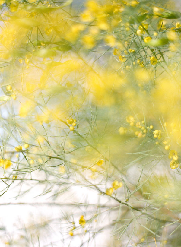 palm-springs-wedding-by-lacie-hansen