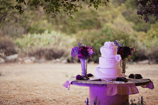 parker-ranch-wedding-reception-from