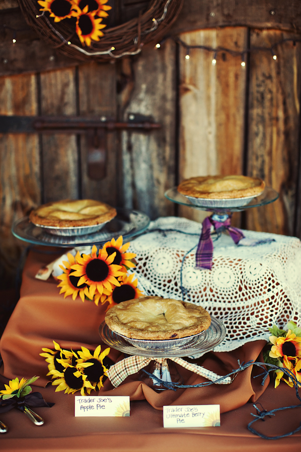 truly-western-wedding-by-tinywater