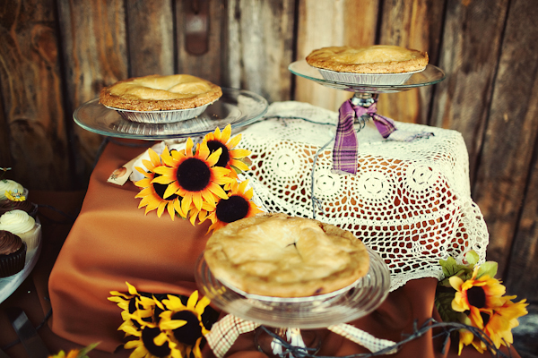 truly-western-wedding-by-tinywater