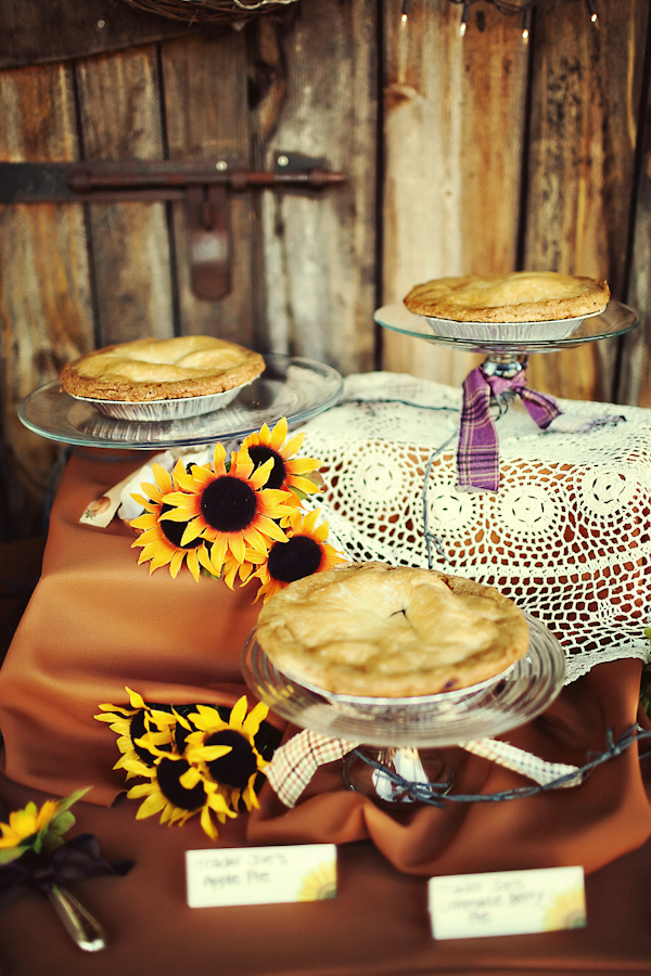 truly-western-wedding-by-tinywater