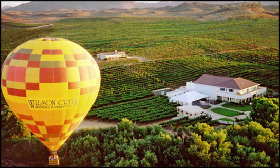 Hot air balloon over vineyard winery