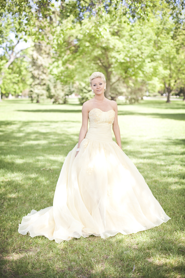 butter-cream-yellow-wedding-gown