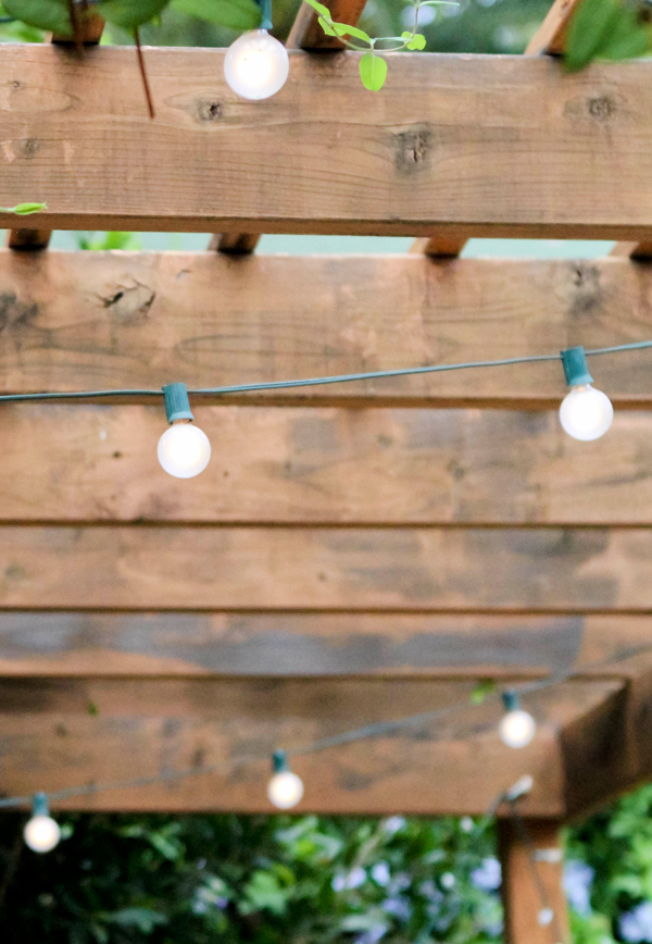 citrus-wedding-ideas-from-lyndsey