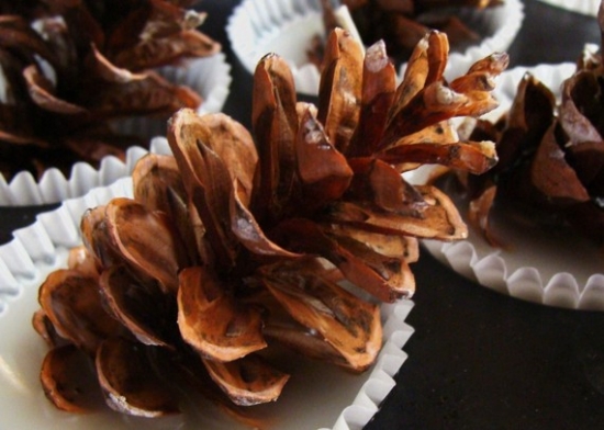 Pine cones in decorative paper cups close up view