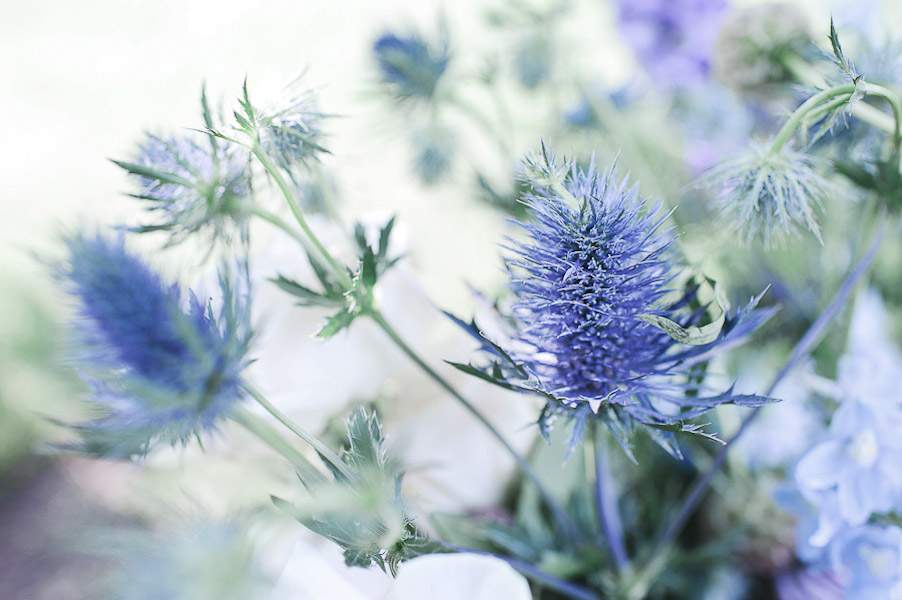 homegrown-secret-garden-wedding