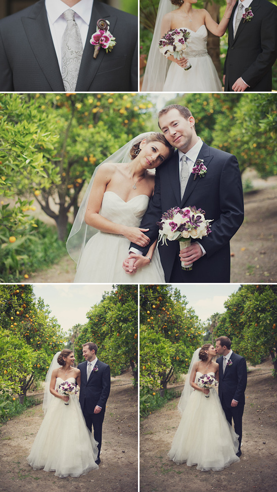 Bride and groom in orange grove wedding photos