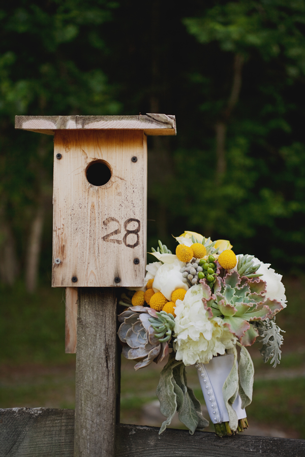 romantic-and-classic-north-carolina