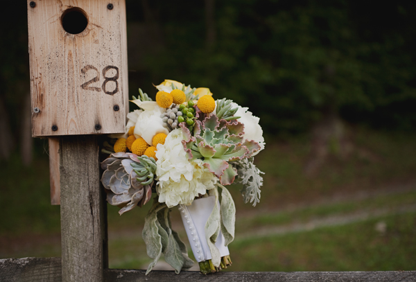 romantic-and-classic-north-carolina
