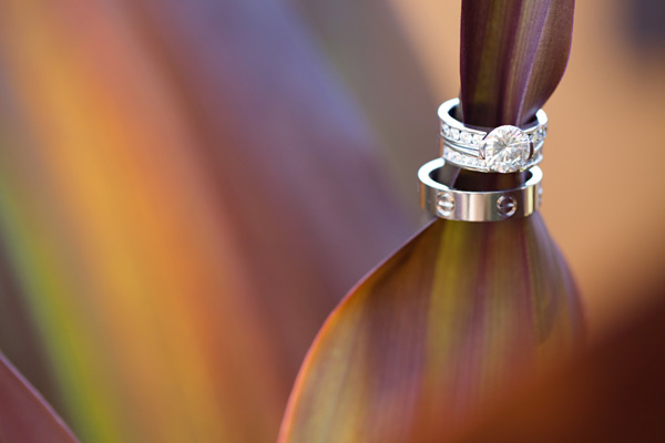 sophisticated-beach-wedding-by-kt
